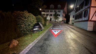 Mühlau ZH Unfall PW: Fahrzeug neben der Strasse