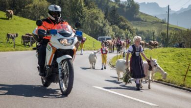 Verkehrsbehinderungen bei der Grossviehschau in Appenzell AI