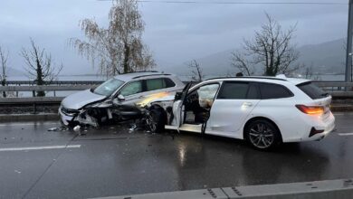 Keine Verletzten bei Verkehrsunfall auf dem Seedamm