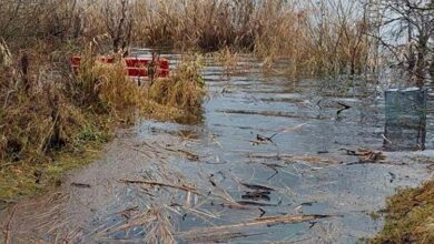 Aktuelle Hochwassersituation am Greifensee ZH: Wichtige Informationen und Maßnahmen