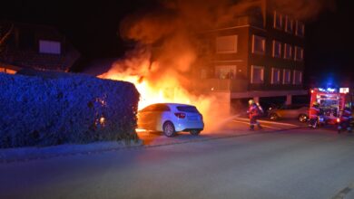 Erheblicher Schaden bei Bränden in Trimmis und Tersnaus, Graubünden