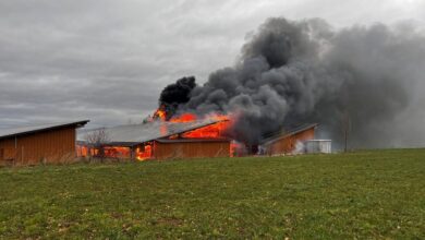 Grosser Feuerwehreinsatz bei Bauernhofbrand in Diegten BL