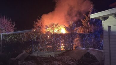 Lausen BL: Gartenhaus bei Brandfall vollständig zerstört