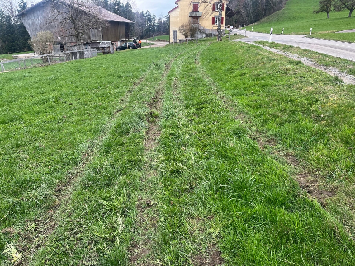 29-Jähriger verursacht Selbstunfall auf der Jonschwilerstrasse in St. Gallen und flieht 29-Jähriger verursacht Selbstunfall auf der Jonschwilerstrasse in St. Gallen und flieht