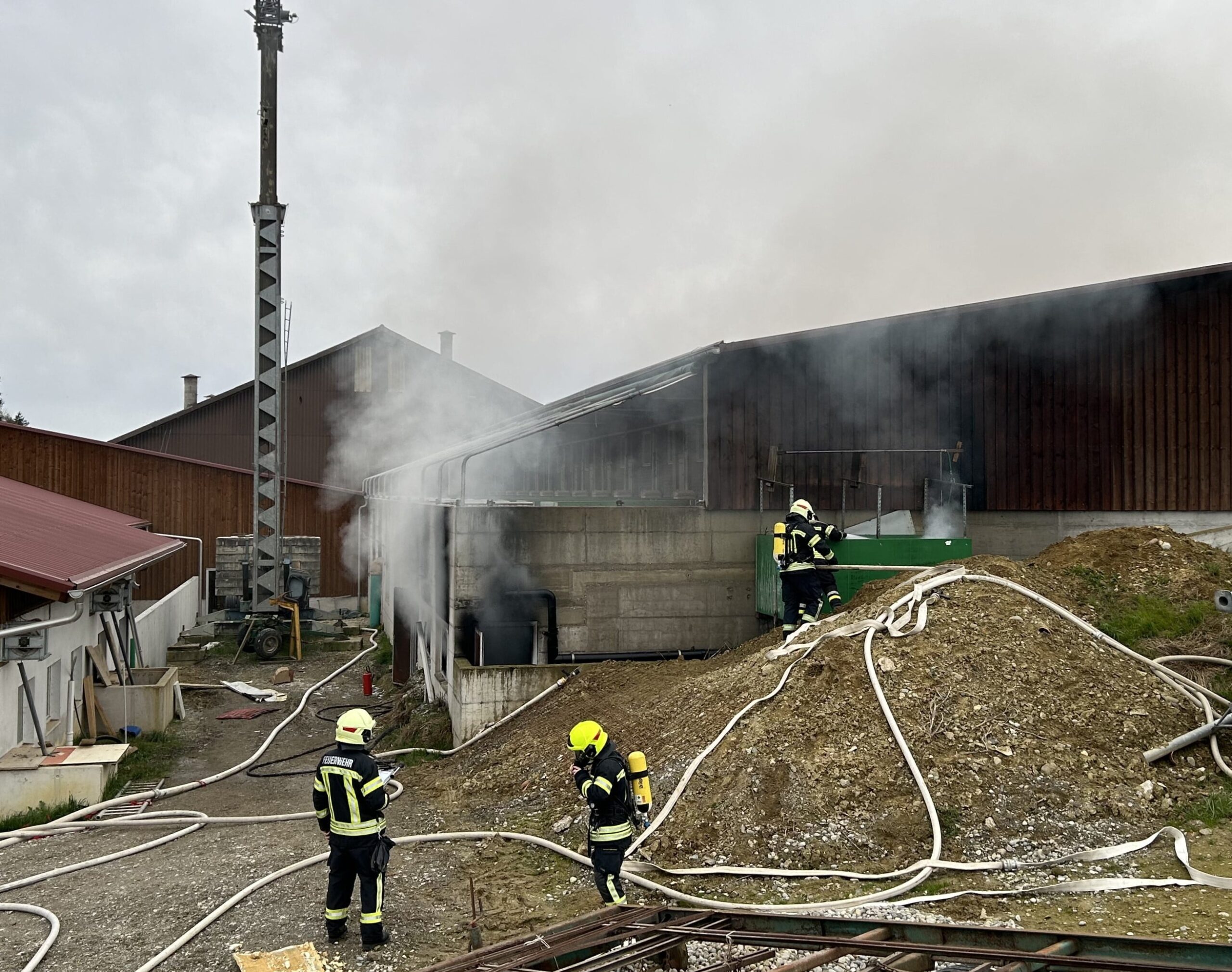 Tragischer Schweinestallbrand in Oppikon TG fordert Tierleben Tragischer Schweinestallbrand in Oppikon TG fordert Tierleben