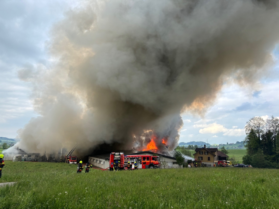 Grossbrand in Höfrig SG: Zwei Schweineställe betroffen Grossbrand in Höfrig SG: Zwei Schweineställe betroffen