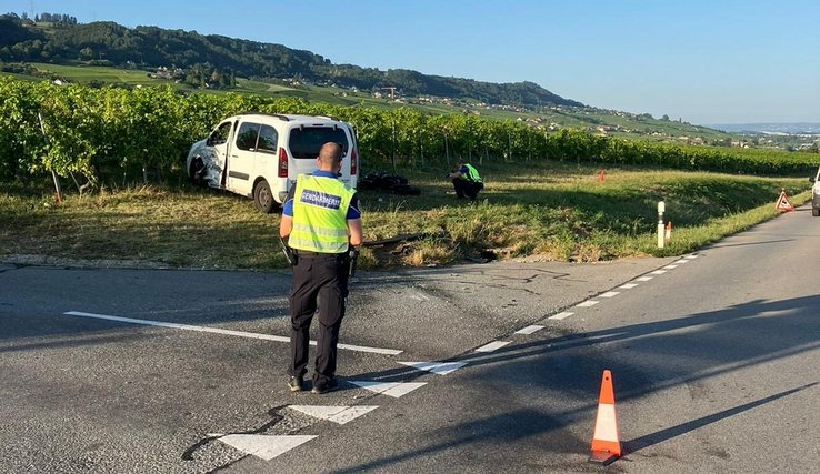 Schwerer Verkehrsunfall in Gilly VD – Polizei sucht Zeugen Schwerer Verkehrsunfall in Gilly VD – Polizei sucht Zeugen